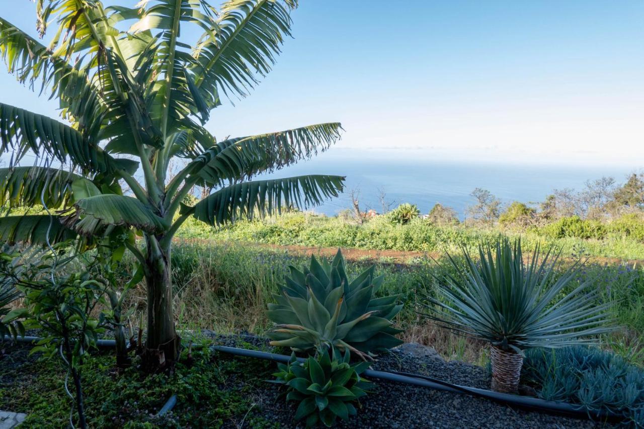 Hrlos Piratas - Ferien Haus La Palma - Good Wlan !! 蒂哈拉费 外观 照片